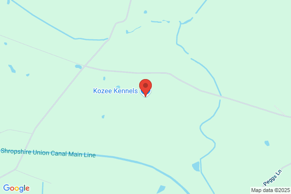 Countryside Kennels & Cattery