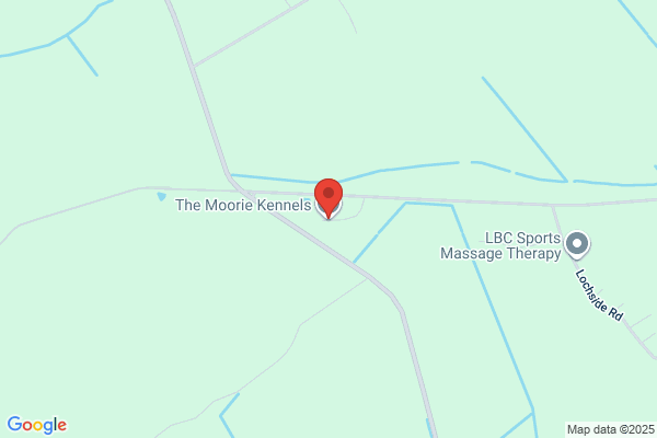 Moorend Kennels