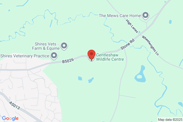 Gentle Shaw Bird Of Prey Hospital