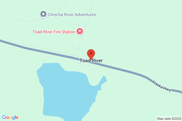 Toad At Two Rivers