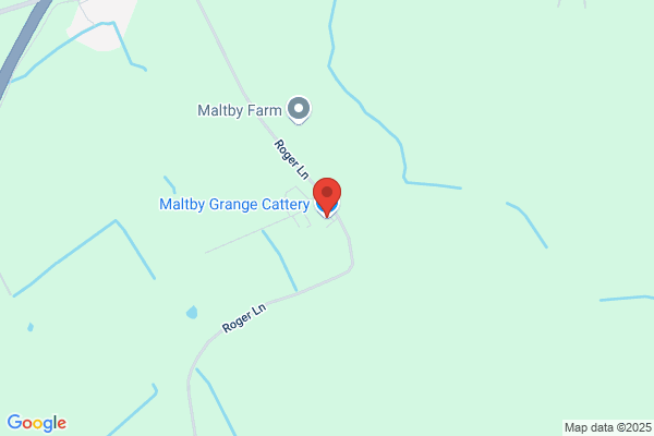 Maltby Grange Cattery