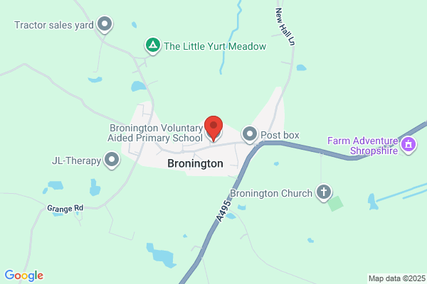 Bronington V P School