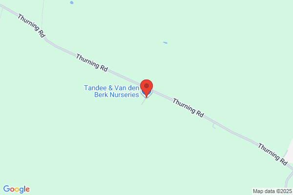 Tandee Nursery