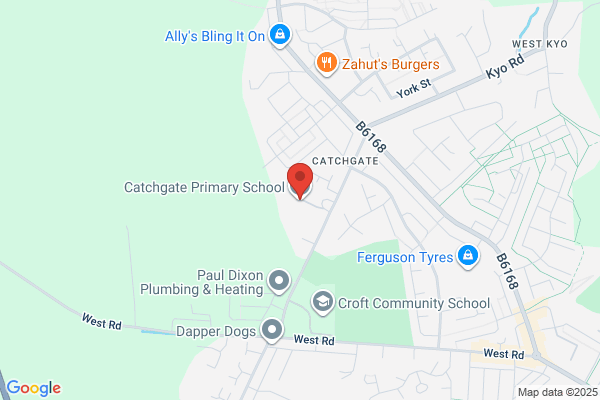 Catchgate Primary School
