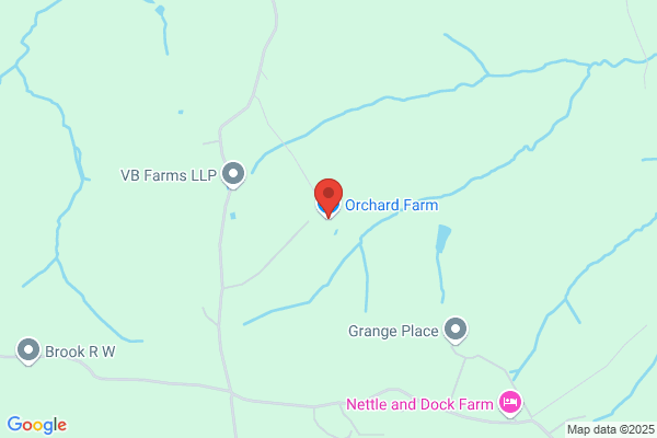 Orchard Stores Ltd