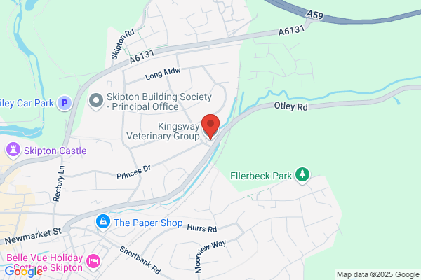 Kingsway Veterinary Group