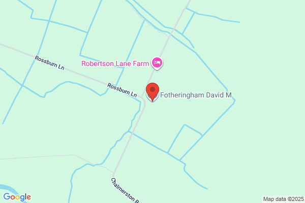 David M Fotheringham