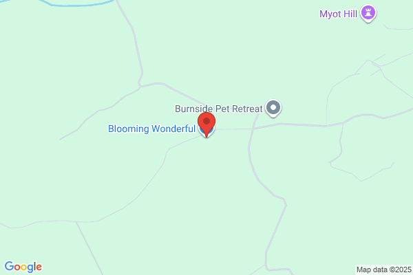 Its Blooming Wonderful