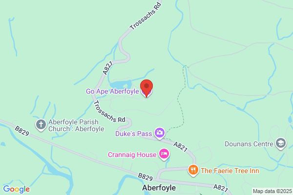 Go Ape Aberfoyle