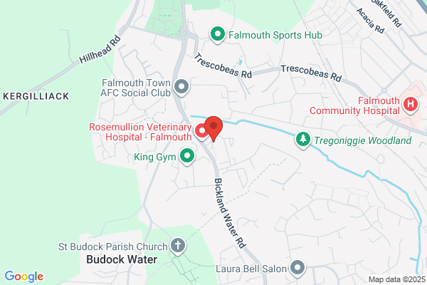 Falmouth Crash Repair Ltd