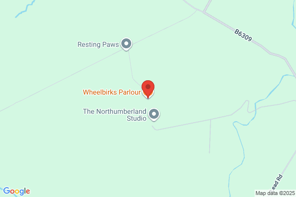 Wheelbirks Tree Surgery