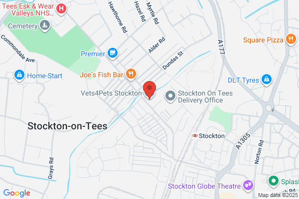 Vets4Pets Stockton