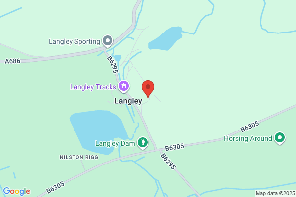 Hairy Bear Tree Surgery Ltd