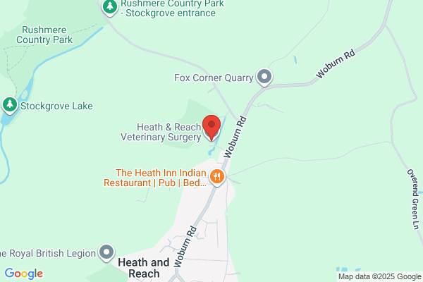 Heath & Reach Veterinary Surgery