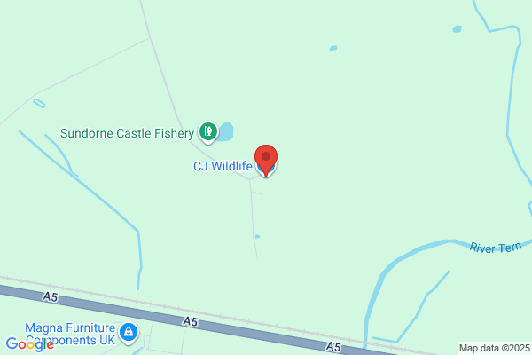 C W Bird