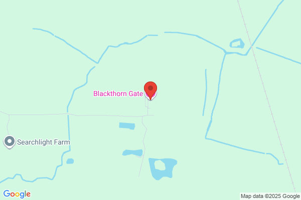 Blackthorn Gate