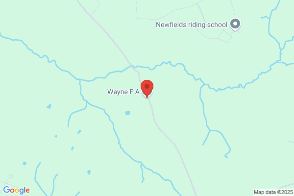 F A Wayne