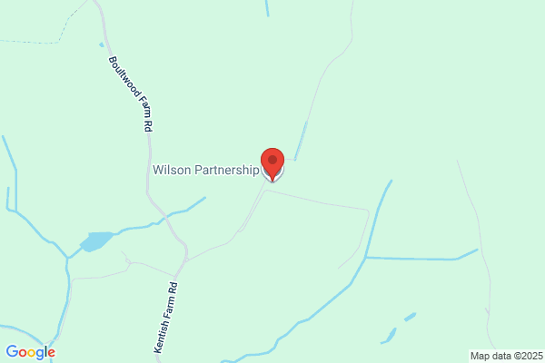 P A Wilson