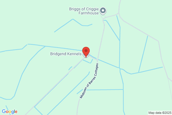 BRIDGEND KENNELS