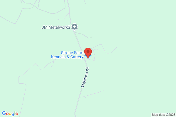 Animal Obsessed Kennels & Catteries Ltd