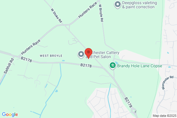 Chichester Cattery