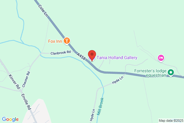 Tania Holland Gallery