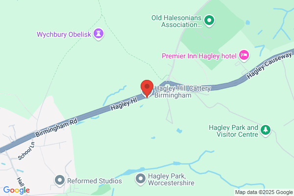 Hagley Hill Cattery
