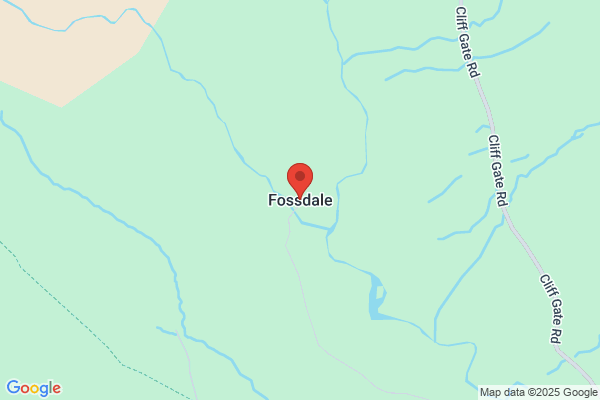 Fossdale Ltd