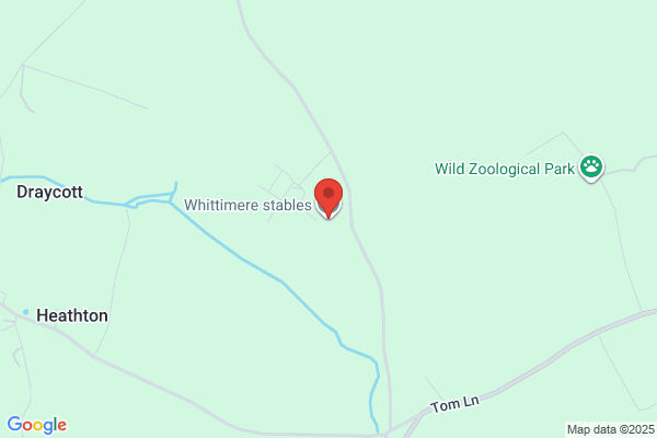 Snelson Whittimere