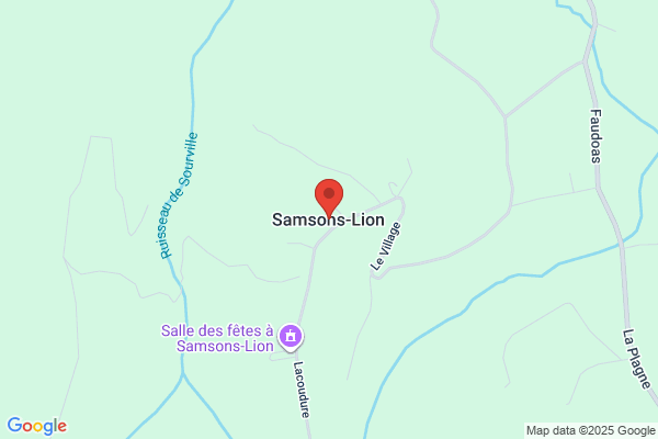 Samson & Lion