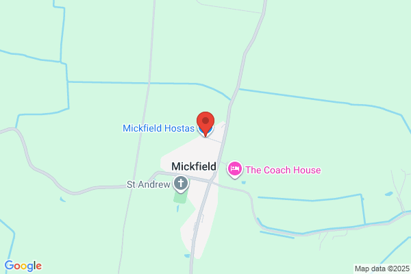 Mickfield Water Garden Centre