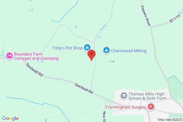 Castle Veterinary Group