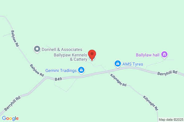 Ballypaw Kennels & Cattery