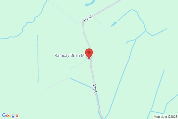 Brian M Ramsay