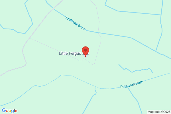 Fergus Little