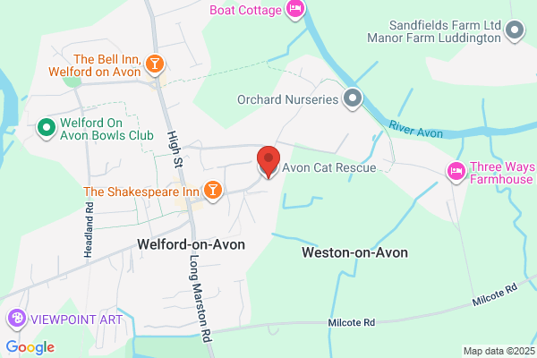 Avon Cat Rescue