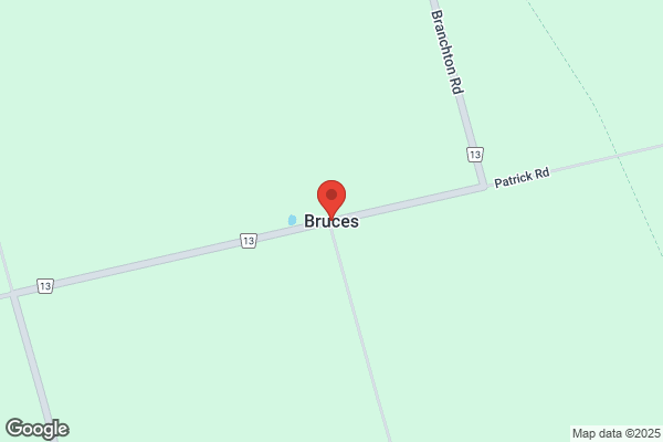 Bruce's