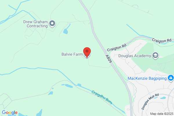 Balvie Farm Cattery