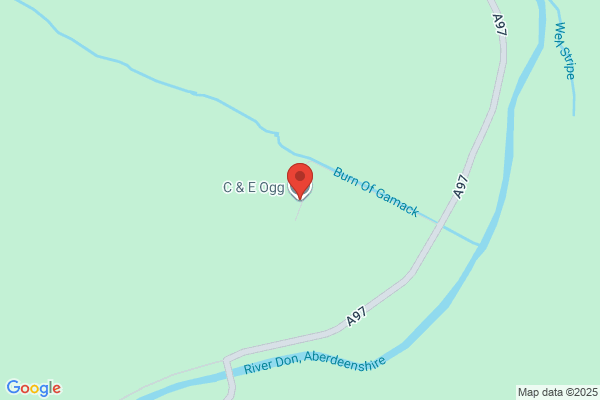 C Ogg