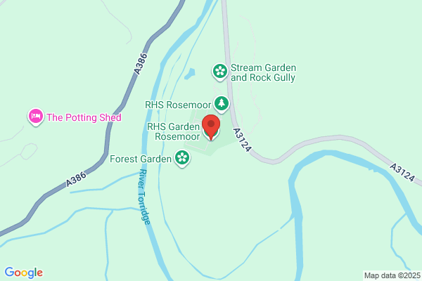 Dave Lester