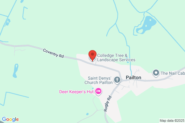Colledge Tree & Landscape Services