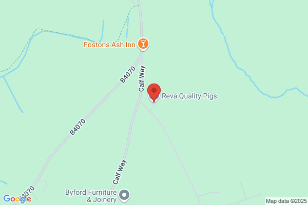 Reva Quality Pigs