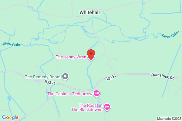 The Jenny Wren