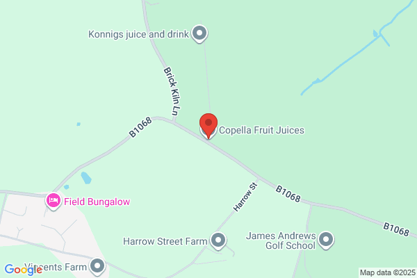 Copella Fruit Juices Ltd