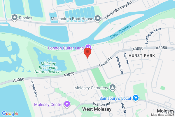 Molesey Pest Control