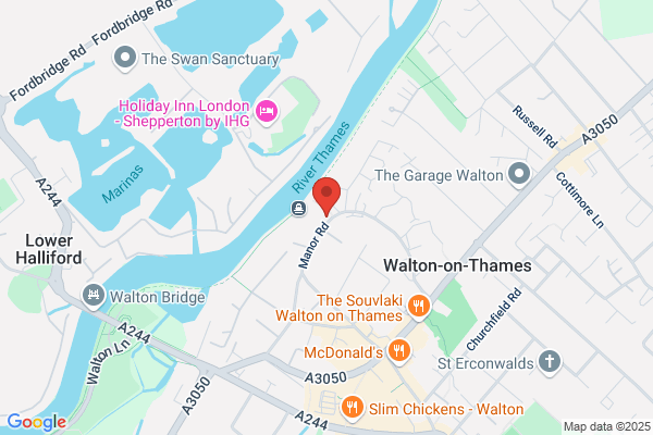 The Swan