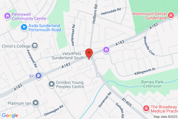 Vets4Pets - Sunderland South
