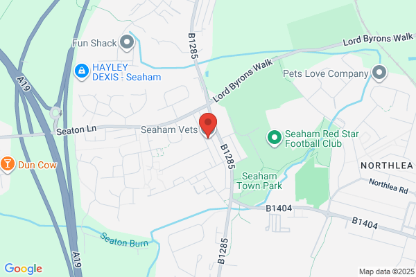 Seaton Veterinary Centre