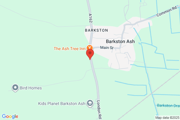 The Ash Tree
