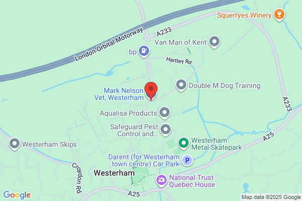 Mark Nelson Vet, Westerham